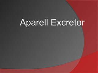 Aparell Excretor Ppt