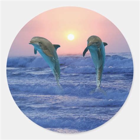 Dolphins At Sunrise Classic Round Sticker Zazzle