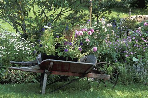 Cottage Garden - Garden & Greenhouse