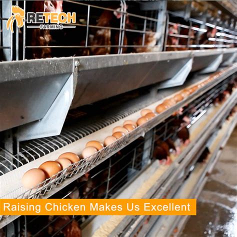 China Design Tiers Birds H Type Egg Layer Poultry Equipment