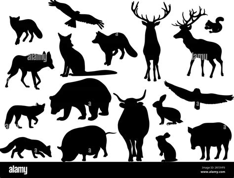 Collection silhouettes forest wild animals, predators and birds. Vector ...