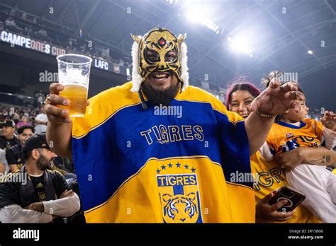 Tigres UANL fans celebrate during the Campeones Cup 2023 final against ...