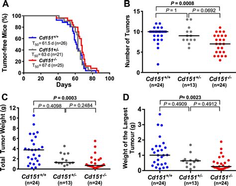 Effect Of Cd Deletion On Mmtv Pymt Tumor Onset And Growth A The