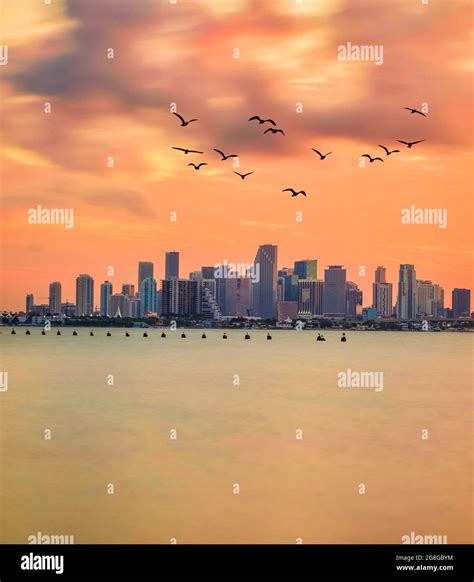 Downtown Miami skyline at sunset, USA Stock Photo - Alamy