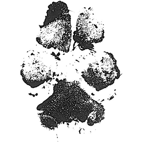 Ink Dog Paw Print