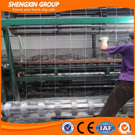 Deer Farm Fence - SHENGXIN INTERNATIONAL WIRE MESH CO., LTD