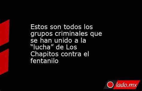 Estos Son Todos Los Grupos Criminales Que Se Han Unido A La “lucha” De