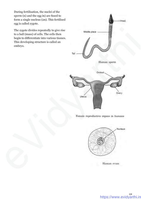 Solution Notes Class 8 Science Chapter 6 Studypool