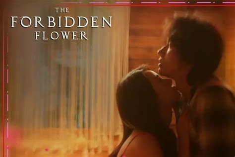 Ini Link Nonton Series The Forbidden Flower Sub Indo Episode 1 Sampai 9