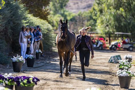 USEF Eventing Championships Are Underway at Galway Downs | US Equestrian