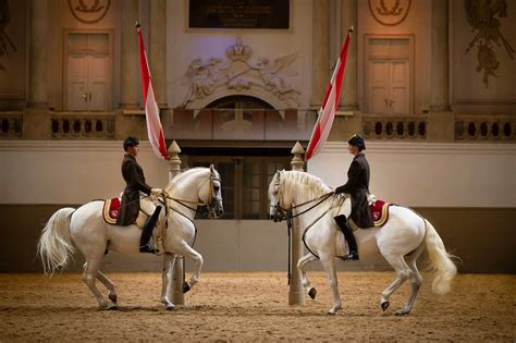 Spanish Riding School in Vienna - Sightseeing Info and Tips - The ...