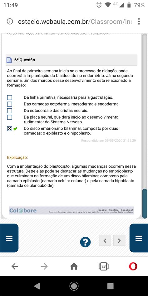 Teste De Conhecimento Histologia E Embriologia The Best Porn Website