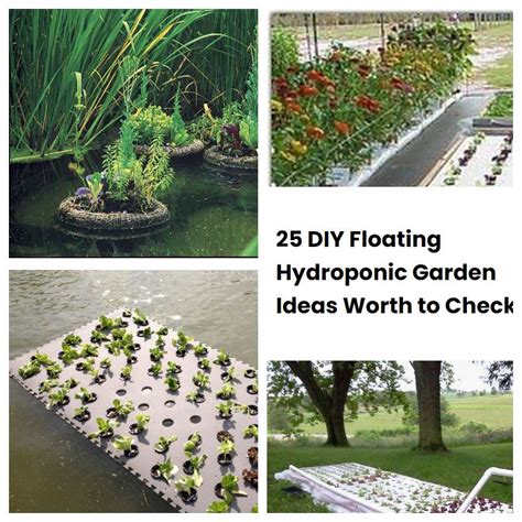 25 Diy Floating Hydroponic Garden Ideas Worth To Check Sharonsable