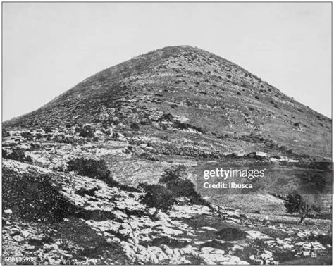 tabor hill stock  high res pictures  images getty images