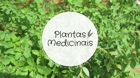 Plantas Medicinais