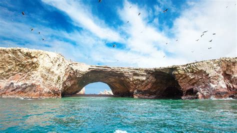 Islas Ballestas Paracas Reserva De Entradas Y Tours Getyourguide