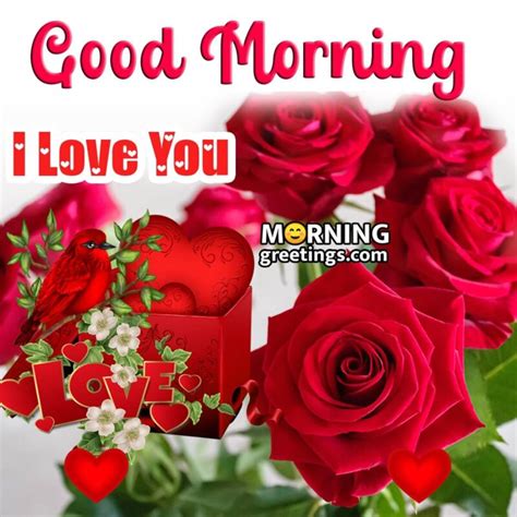 The Ultimate Collection Of Full 4k Good Morning I Love You Images Over 999 Amazing Options