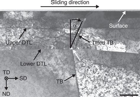 Stem Bright Field Bf Image Of Tribologically Deformed Microstructure