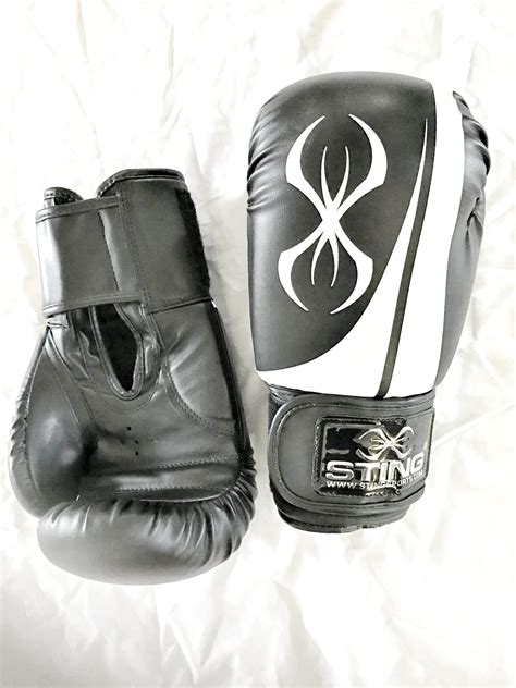 Sting Armalite Boxing Gloves 10oz Christchurch Martial Arts