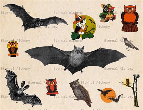 Vintage Halloween Images Bats Owls and Crows Set 1 12 - Etsy