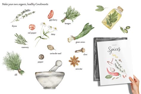 Watercolor Herbs And Spices Collection Design Cuts