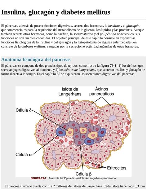 Insulina Glucag N Y Diabetes Mellitus Insulina Glucag N Y