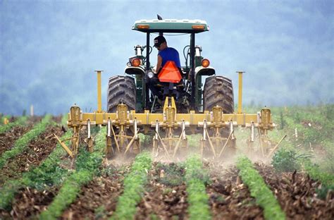 South African Agricultural Sector Expected To Experience A Period Of