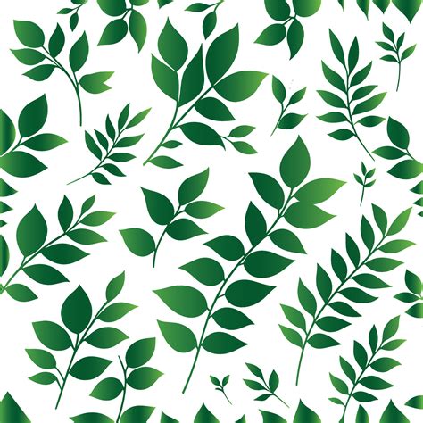 Green leaf background pattern 28702604 Vector Art at Vecteezy