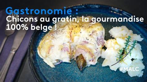 Gastronomie Chicons Au Gratin La Gourmandise Belge Extrait