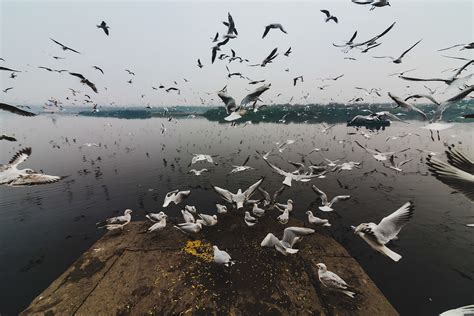 Exploring Old Delhi - Yamuna Ghat on Behance