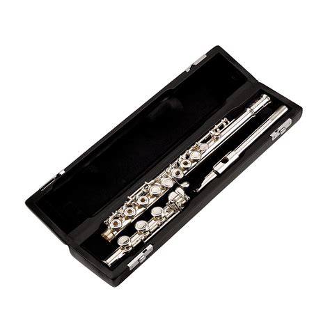 Buy Powell Sonare Ps 501 Online At 235300 Flute World