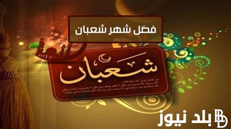 ما هو حكم صيام اخر يوم من شعبان 1445 دار الإفتاء توضح بلد نيوز