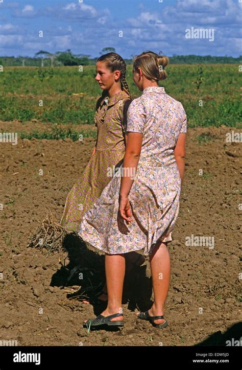 Mennonite Girls Working In Fields Spanish Lookout Settlement Belize