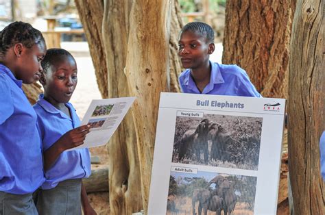 Conserving the desert elephants of Namibia, Africa | EHRA