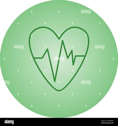 Heart ECG Vector Line Icon Stock Vector Image Art Alamy