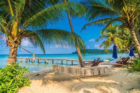 Hammock on the beach 2791506 Stock Photo at Vecteezy