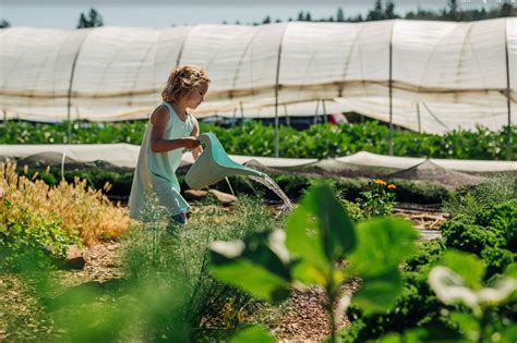 Summer Farm Camp 2023 — Seed To Table - Sisters Oregon