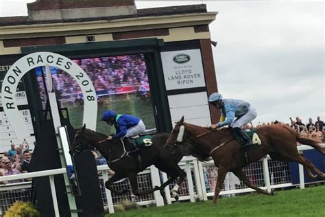 Enclosures Ripon Races