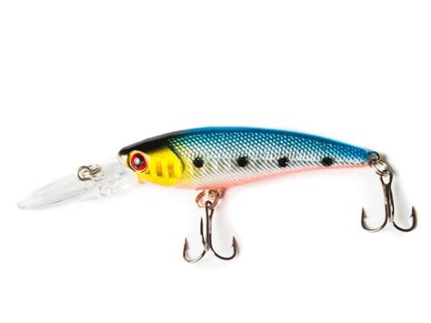 Most Common Types Of Fishing Lures All You Need To Know