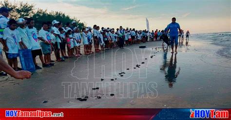 Hoy Tamaulipas Tamaulipas Podria Abrirse Al Publico La Liberacion De