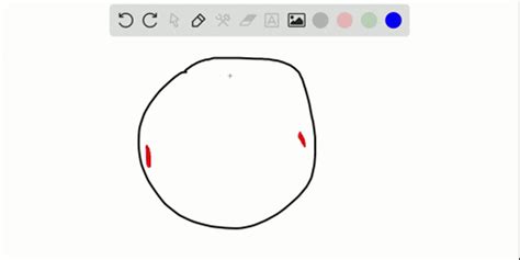 SOLVED:How many centrioles does a cell have at metaphase of mitosis?