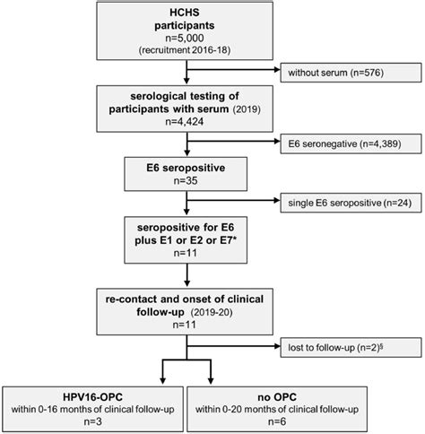 Detection Of Stage I Hpv Driven Oropharyngeal Cancer In Asymptomatic Individuals In The Hamburg