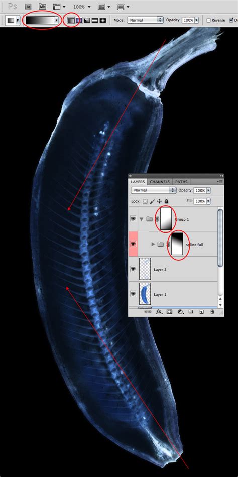 Quick Tip: How to Simulate X-Ray Photography in Photoshop