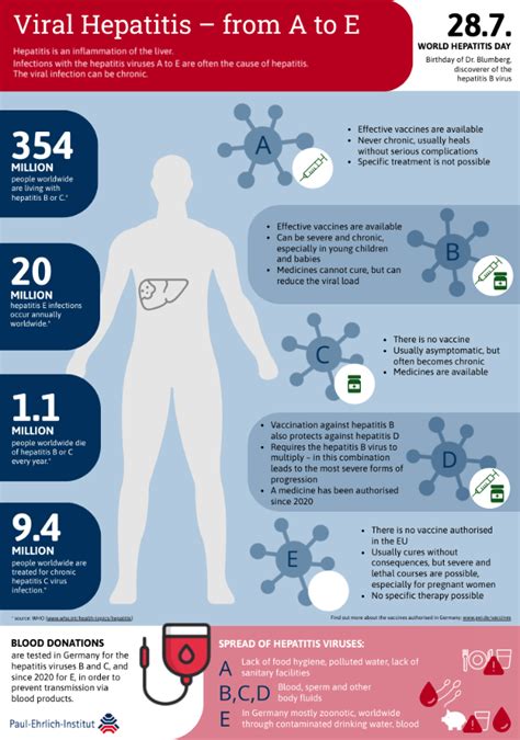 Infographics Infographic Viral Hepatitis From A To E Paul