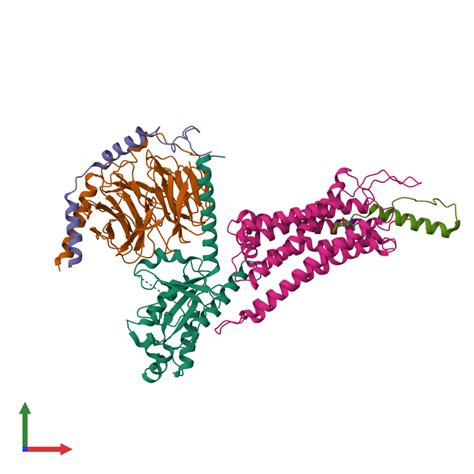 PDB 7x9b Gallery Protein Data Bank In Europe PDBe EMBL EBI