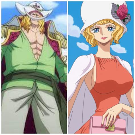 The truly important debate : r/MemePiece