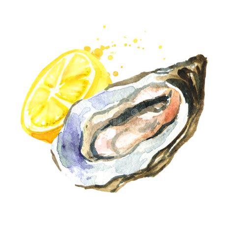 Oyster With Lemon Watercolor Hand Drawn Illustration Isolated On White Background Stock