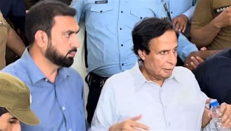 Nawaz Should Hold Shehbaz Responsible For Inflation Says Elahi