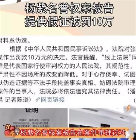 楊紫黑粉被告後，提供假證據，處罰結果出爐：罰款10萬 每日頭條