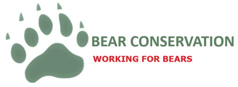 Polar bear – Bear Conservation